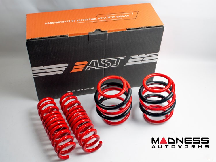 Volkswagen ID. Buzz Lowering Springs - AST Cargo - 35mm/30mm