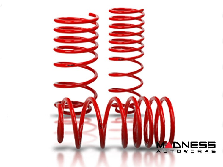 Volkswagen ID. Buzz Lowering Springs - V-Maxx - EU Model