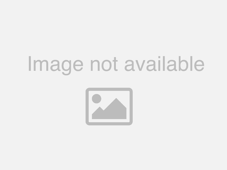 Volkswagen I.D. Buzz Sport Springs - Front + Rear - H&R - Lowering Springs - `25-`27